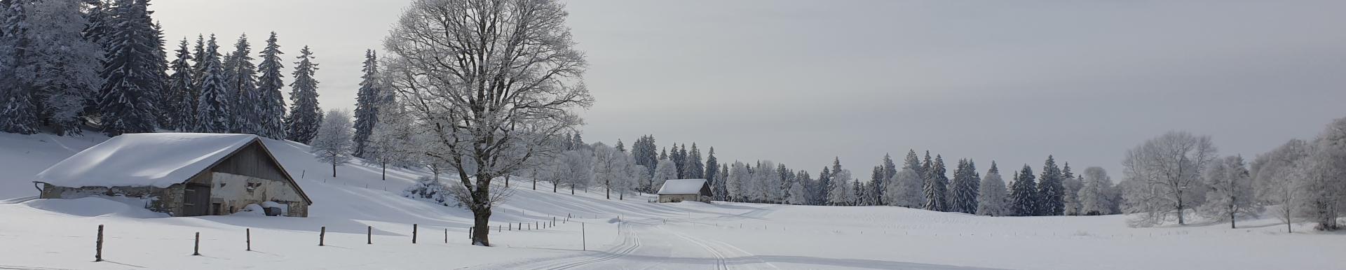 Conseil en énergie du Jura bernois